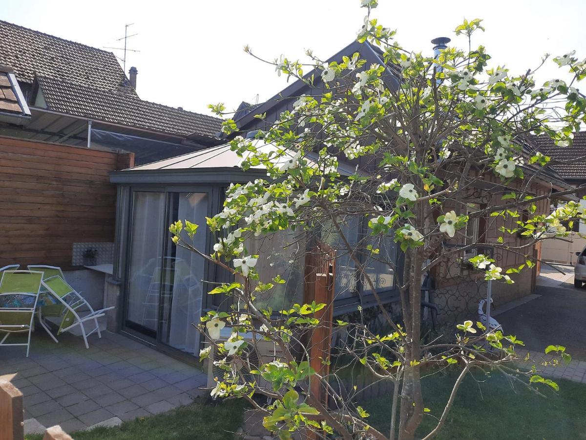 Oasis D'Alsace Villa Valff ภายนอก รูปภาพ
