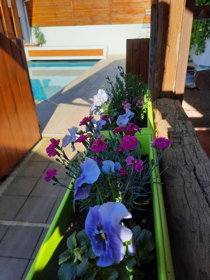 Oasis D'Alsace Villa Valff ภายนอก รูปภาพ